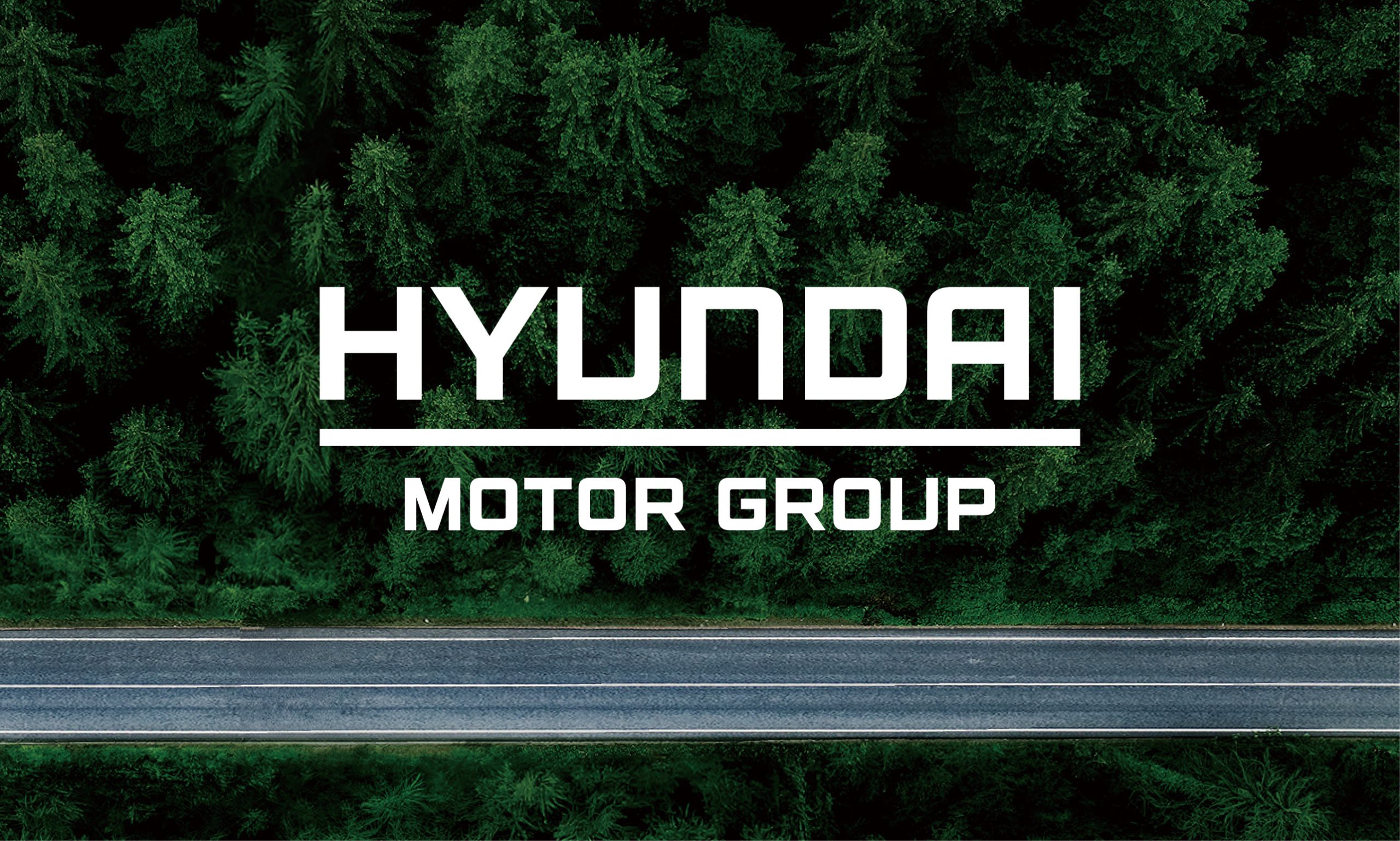 Hyundai Motor Group